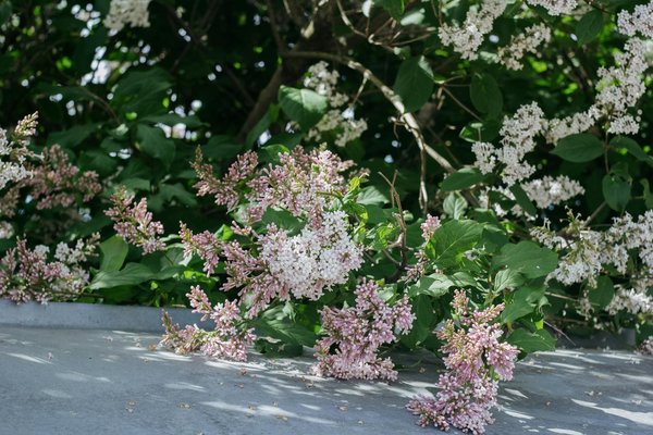 Gestion des Dépenses de Déménagement pour Militaires : Guide Complet et Avantages
